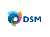 Logo_DSM.png - 10.37 kB